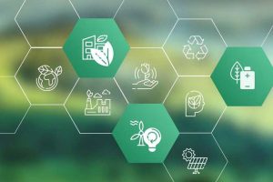 Cost-Effective-&-Sustainable-anayaewaste